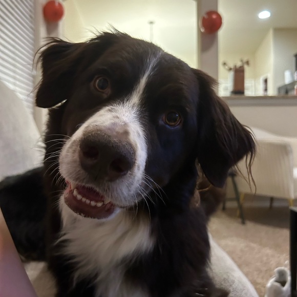 Meet your Posher, Kayla - Picture 5 of 5